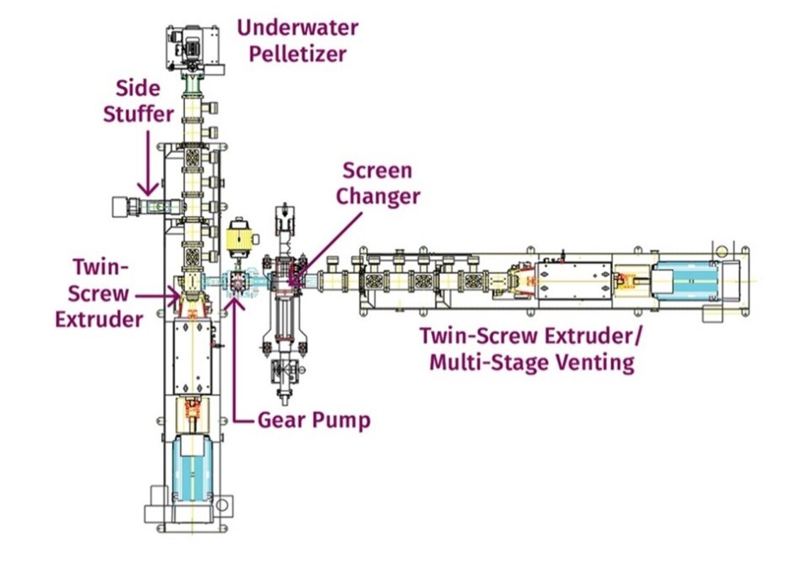 Twin-screw extrusion characterization of two varieties of soft